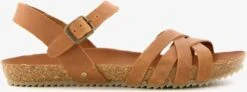 Hush Puppies Leren Dames Bio Sandalen - Cognac - Maat 39 -Skechers Verkoopwinkel 1200x446 8