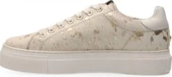 Maruti - Ted Sneakers - Splash Gold - 41 -Skechers Verkoopwinkel 1200x540 12