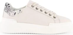 NoGRZ J.Javarra - Leren Dames Sneakers - Veterschoenen - Wit Leer - Maat 39