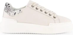 NoGRZ J.Javarra - Leren Dames Sneakers - Veterschoenen - Wit Leer - Maat 39 -Skechers Verkoopwinkel 1200x576 6