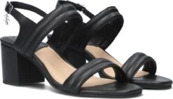 Mexx Sandalen Josephine Dames - Zwart - Maat 38 -Skechers Verkoopwinkel 1200x686
