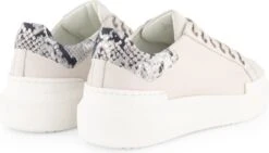 NoGRZ J.Javarra - Leren Dames Sneakers - Veterschoenen - Wit Leer - Maat 39 -Skechers Verkoopwinkel 1200x687 5