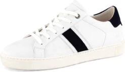 NoGRZ G.Massari - Vegan Damessneakers - Veterschoenen - Blauw/Wit - Maat 39 -Skechers Verkoopwinkel 1200x695 9