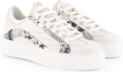 NoGRZ L.Dewez - Leren Dames Sneakers - Veterschoenen Met Snake Print - Wit Leer - Maat 37 -Skechers Verkoopwinkel 1200x702 4