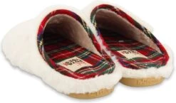 Hot Potatoes HP 92006 Galizein Junior Q3-21