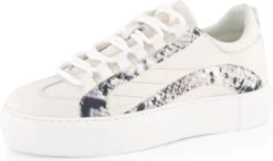 NoGRZ L.Dewez - Leren Dames Sneakers - Veterschoenen Met Snake Print - Wit Leer - Maat 37 -Skechers Verkoopwinkel 1200x711 3