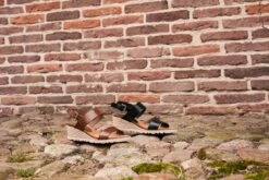 Travelin' Denia - Leren Dames Sandalen Met Hak - Sandaletten - Zwart Leer - Maat 39 -Skechers Verkoopwinkel 1200x800 9