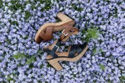 Blue Box Dames Sandalen Met Hak - Cognac - Maat 38 -Skechers Verkoopwinkel 1200x802 5