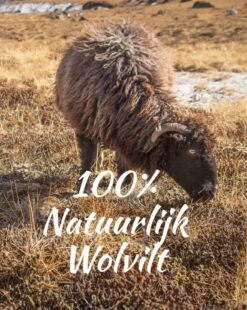 Tofvel Rabara Wolvilt Sloffen Black | Zwart | Wolvilt | Maat 40 | TF200036 -Skechers Verkoopwinkel 956x1200 2